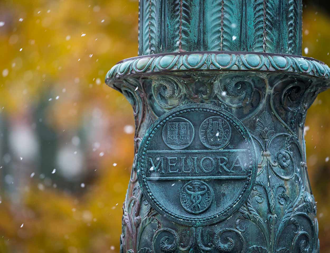 close up of Meliora light pole.