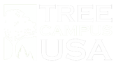 Tree Campus USA