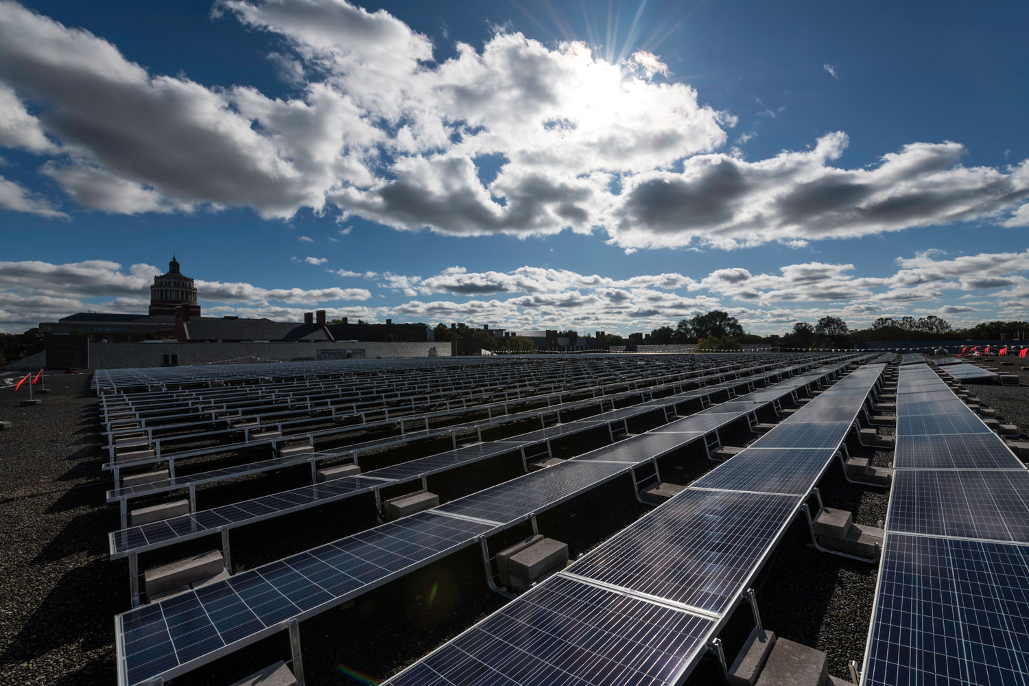 Field full of Solar Panels on a Sunny Day